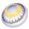 FreshLook Radiance